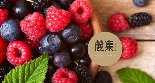 品牌策劃公司-如何從策劃的角度打造品牌形象？