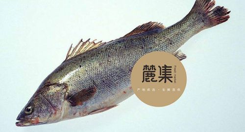 品牌策劃公司九韻一雅堂簽約 - 麓集生鮮超市