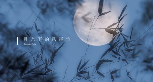 餐飲策劃公司九韻一雅堂簽約 - 月光美蘭主題餐廳