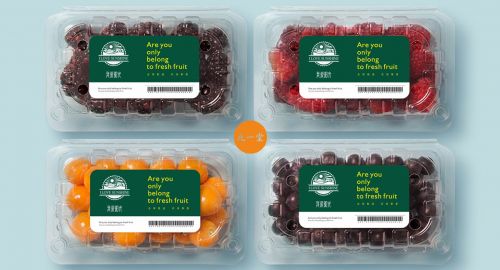 水果產品包裝設計如何符合市場需求?