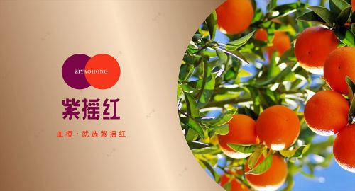 企業(yè)logo有哪些必要點(diǎn)你需要了解